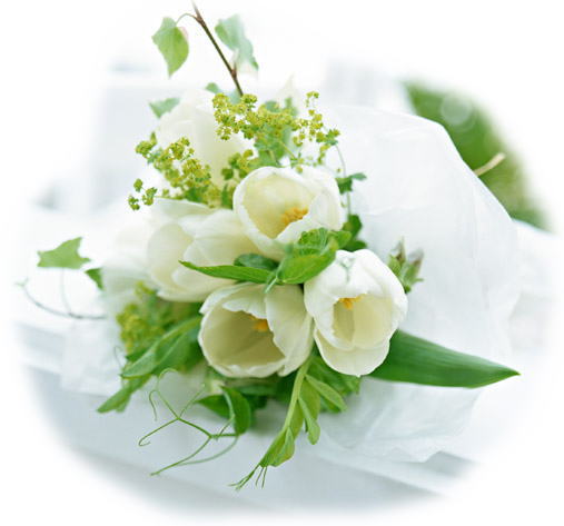 ホワイトニング